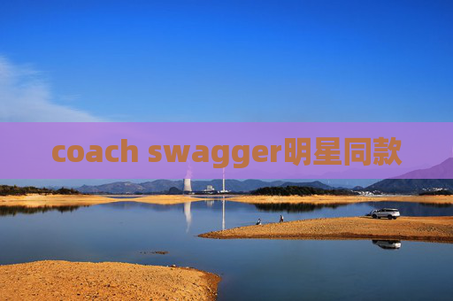 coach swagger明星同款